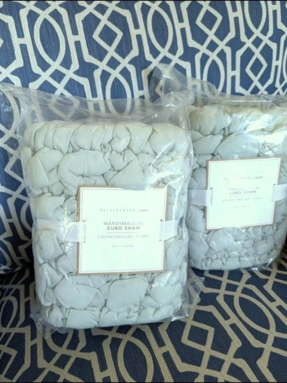 Pottery Barn Teen Marshmallow Jersey Euro Sham‎ Sage Color